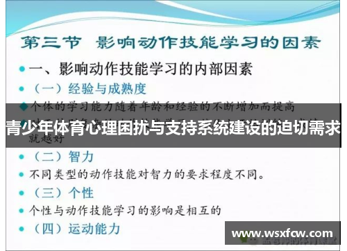 青少年体育心理困扰与支持系统建设的迫切需求